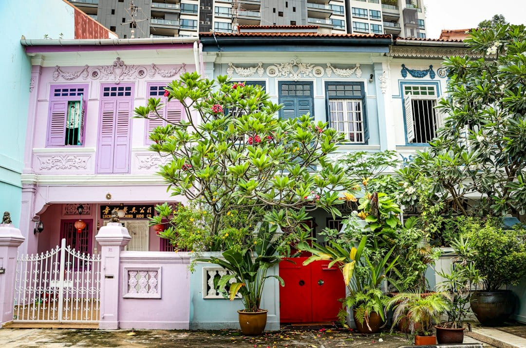 Colourful Singapore terrace houses with lush greenery